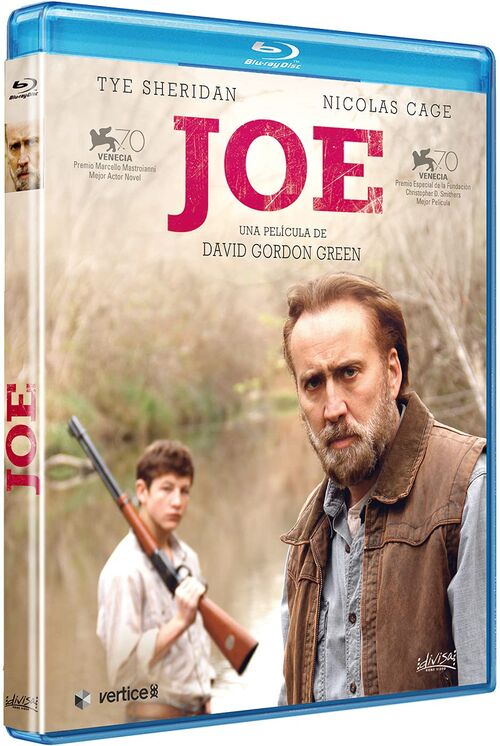 Joe (2013)