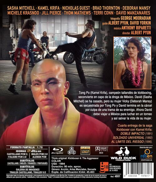 Kickboxer IV: El Agresor (1994)