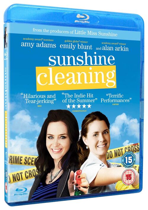 Sunshine Cleaning (2008)